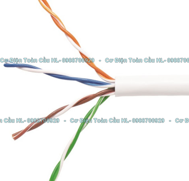 DÂY CÁP MẠNG chính hãng Chính hãng giá tốt nhất